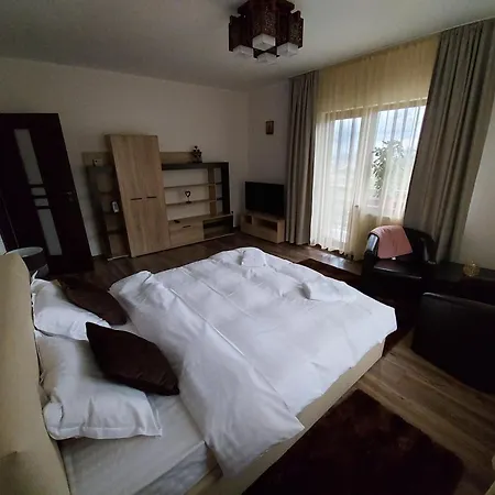 Apartament Matei-3